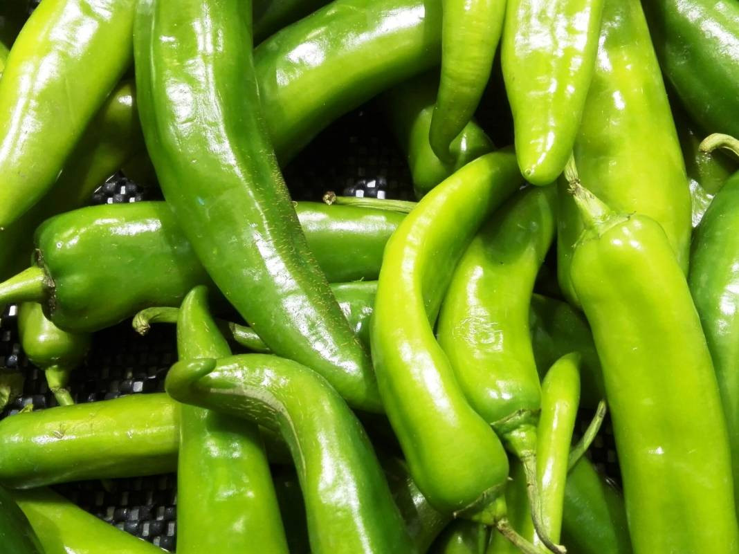 Biberleri taptaze tutuyor. Aylarca çürümüyor ve küflenmiyor - Resim: 8